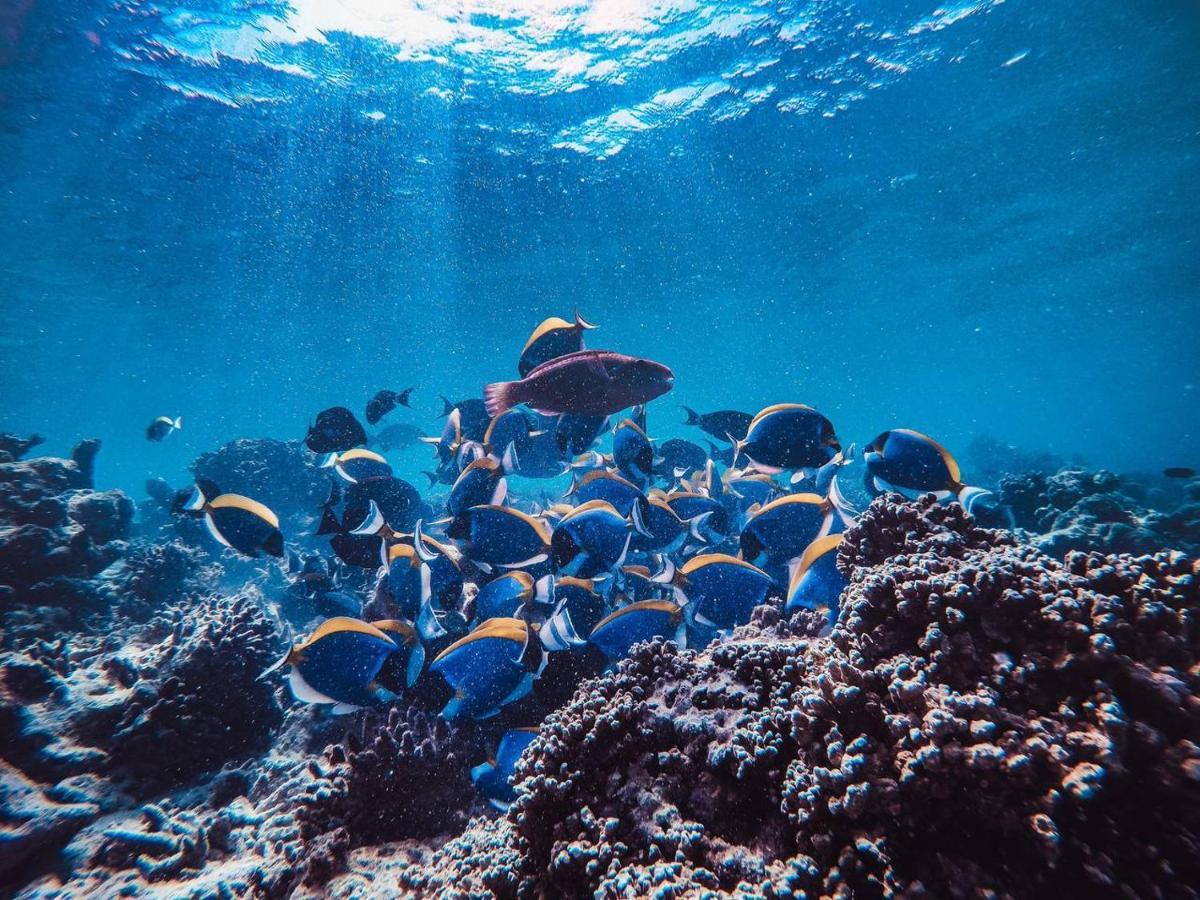 Manta Dhangethi Exteriér fotografie