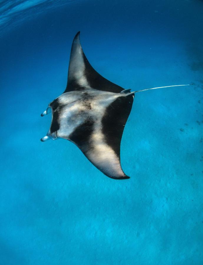 Manta Dhangethi Exteriér fotografie